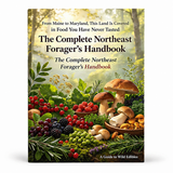 From Maine to Maryland, This Land Is Covered in Food You Have Never Tasted: The Complete Northeast Forager's Handbook