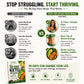 The 30-Day Keto Reset: Burn Fat, Beat Cravings, and Rebuild Your Energy with a Simple Low-Carb Plan