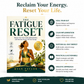 The Fatigue Reset: Repair Your Gut, Calm Inflammation, and Reclaim Steady All-Day Energy